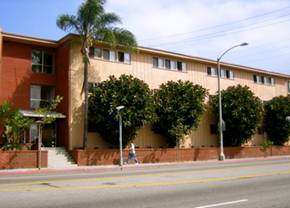 Photograph of the exterior of The Manor with trees